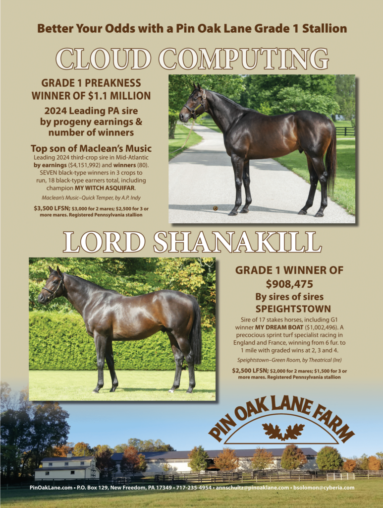 An advertisement showing the names and pictures of Pin Oak Lane's 2025 stallion roster