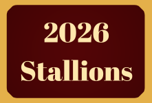 Link to 2026 Stallions